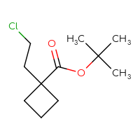 Chemical structure of tert-butyl 1-(2-chloroethyl)cyclobutane-1-carboxylate - CSSB00102719576