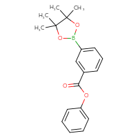 Chemical structure of phenyl 3-(4,4,5,5-tetramethyl-1,3,2-dioxaborolan-2-yl)benzoate - CSSB21103684466