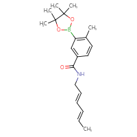 Chemical structure of N-[(2E,4E)-hexa-2,4-dien-1-yl]-4-methyl-3-(4,4,5,5-tetramethyl-1,3,2-dioxaborolan-2-yl)benzamide - CSSB21331714008