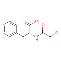 Chemical structure of (2R)-2-(2-chloroacetamido)-3-phenylpropanoic acid - CSSB00020609671