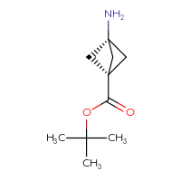 Chemical structure of tert-butyl 3-aminobicyclo[1.1.1]pentane-1-carboxylate - CSSB03440120852