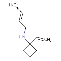 C10H17N