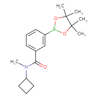 Chemical structure of N-cyclobutyl-N-methyl-3-(4,4,5,5-tetramethyl-1,3,2-dioxaborolan-2-yl)benzamide - CSSB02166475289