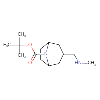 Chemical structure of tert-butyl 3-[(methylamino)methyl]-8-azabicyclo[3.2.1]octane-8-carboxylate - CSSB00024444394