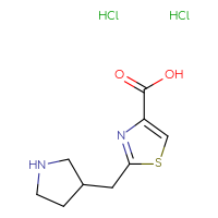 Chemical structure of 2-[(pyrrolidin-3-yl)methyl]-1,3-thiazole-4-carboxylic acid dihydrochloride - CSSB00132301999