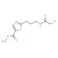 Chemical structure of methyl 2-[3-(2-chloroacetamido)propyl]-1,3-thiazole-5-carboxylate - CSSB21332096703