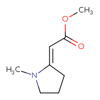 C8H13NO2