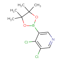 C11H14BCl2NO2