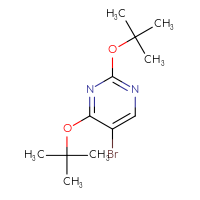 C12H19BrN2O2