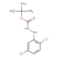 Chemical structure of N'-(2,5-dichlorophenyl)(tert-butoxy)carbohydrazide - CSSB21331813798