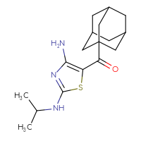 Chemical structure of 5-(adamantane-1-carbonyl)-N2-(propan-2-yl)-1,3-thiazole-2,4-diamine - CSSB00102538071