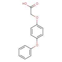 Chemical structure of 2-(4-phenoxyphenoxy)acetic acid - CSSB00000389429