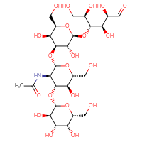 Chemical structure of N-[(2S,3R,4R,5S,6R)-2-{[(2R,3S,4S,5R,6S)-3,5-dihydroxy-2-(hydroxymethyl)-6-{[(2R,3R,4R,5R)-1,2,4,5-tetrahydroxy-6-oxohexan-3-yl]oxy}oxan-4-yl]oxy}-5-hydroxy-6-(hydroxymethyl)-4-{[(2R,3R,4S,5R,6R)-3,4,5-trihydroxy-6-(hydroxymethyl)oxan-2-yl]oxy}oxan-3-yl]acetamide - CSSB06256079875