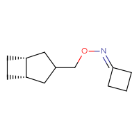 C12H19NO