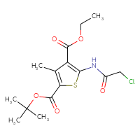 Chemical structure of 2-tert-butyl 4-ethyl 5-(2-chloroacetamido)-3-methylthiophene-2,4-dicarboxylate - CSSB00000740201
