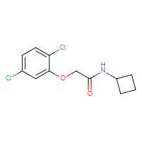 Chemical structure of N-cyclobutyl-2-(2,5-dichlorophenoxy)acetamide - CSSB00029513103