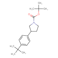 Chemical structure of tert-butyl 3-(4-tert-butylphenyl)pyrrolidine-1-carboxylate - CSSB00134789061