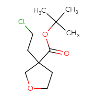 Chemical structure of tert-butyl 3-(2-chloroethyl)oxolane-3-carboxylate - CSSB00102729738