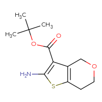 Chemical structure of tert-butyl 2-amino-4H,6H,7H-thieno[3,2-c]pyran-3-carboxylate - CSSB00102862703