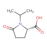 C8H13NO3