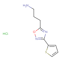 Chemical structure of 3-[3-(thiophen-2-yl)-1,2,4-oxadiazol-5-yl]propan-1-amine hydrochloride - CSSB00025745310