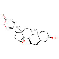 C24H32O4