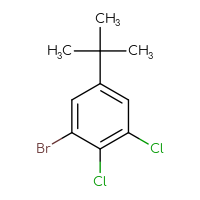 Chemical structure of 1-bromo-5-tert-butyl-2,3-dichlorobenzene - CSSB14855344629