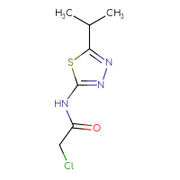 Chemical structure of 2-chloro-N-[5-(propan-2-yl)-1,3,4-thiadiazol-2-yl]acetamide - CSSB00000048826