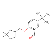 Chemical structure of 5-tert-butyl-2-({spiro[2.4]heptan-5-yl}methoxy)benzaldehyde - CSSB21349241836