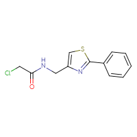 Chemical structure of 2-chloro-N-[(2-phenyl-1,3-thiazol-4-yl)methyl]acetamide - CSSB01015337312