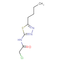 Chemical structure of N-(5-butyl-1,3,4-thiadiazol-2-yl)-2-chloroacetamide - CSSB00000010270