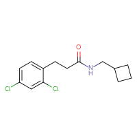 Chemical structure of N-(cyclobutylmethyl)-3-(2,4-dichlorophenyl)propanamide - CSSB00076521393