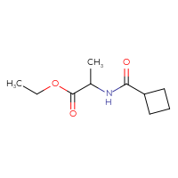 Chemical structure of ethyl 2-(cyclobutylformamido)propanoate - CSSB00011459186