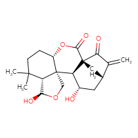 Chemical structure of (1S,4S,8R,9R,12S,13S,14S,16S)-9,14-dihydroxy-7,7-dimethyl-17-methylidene-3,10-dioxapentacyclo[14.2.1.0¹,¹³.0⁴,¹².0⁸,¹²]nonadecane-2,18-dione - CSSB00132312212