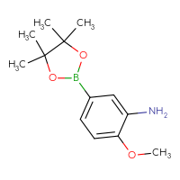 C13H20BNO3