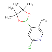 C12H17BClNO2
