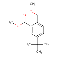 Chemical structure of methyl 5-tert-butyl-2-(methoxymethyl)benzoate - CSSB21323016149