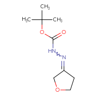 Chemical structure of N'-(oxolan-3-ylidene)(tert-butoxy)carbohydrazide - CSSB00000071449