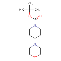 Chemical structure of tert-butyl 4-(morpholin-4-yl)piperidine-1-carboxylate - CSSB00010070505