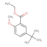 Chemical structure of ethyl 5-tert-butyl-2-methoxybenzoate - CSSB02150255751