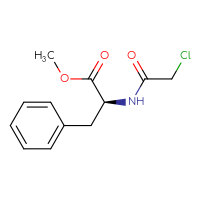 Chemical structure of methyl (2S)-2-(2-chloroacetamido)-3-phenylpropanoate - CSSB00103398944