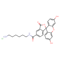 Chemical structure of N-(6-azaniumylhexyl)-3',6'-dihydroxy-3-oxo-3H-spiro[2-benzofuran-1,9'-xanthene]-5-carboxamide chloride - CSSB03436546696