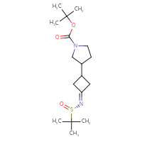 Chemical structure of tert-butyl 3-(3-{[(S)-2-methylpropane-2-sulfinyl]imino}cyclobutyl)pyrrolidine-1-carboxylate - CSSB21332857537