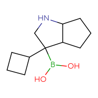 C11H20BNO2