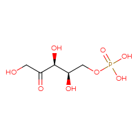 Chemical structure of {[(2R,3S)-2,3,5-trihydroxy-4-oxopentyl]oxy}phosphonic acid - CSSB00037038737