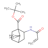 Chemical structure of tert-butyl 7,7-dimethyl-2-(prop-2-enamido)bicyclo[2.2.1]heptane-1-carboxylate - CSSB21332073517