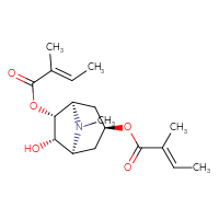 Chemical structure of (1S,3S,5R,6R,7S)-7-hydroxy-8-methyl-3-{[(2E)-2-methylbut-2-enoyl]oxy}-8-azabicyclo[3.2.1]octan-6-yl (2E)-2-methylbut-2-enoate - CSSB00159261810