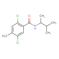Chemical structure of 2,5-dichloro-4-methyl-N-(3-methylbutan-2-yl)benzamide - CSSB06674836758