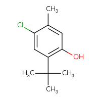 Chemical structure of 2-tert-butyl-4-chloro-5-methylphenol - CSSB00011996487
