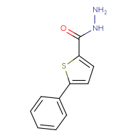 Chemical structure of 5-phenylthiophene-2-carbohydrazide - CSSB00000016309